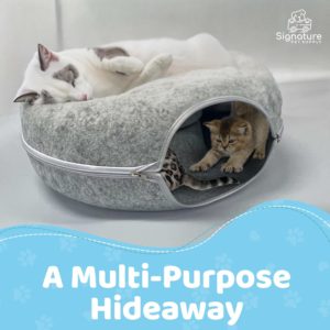 Peekaboo Cat Donut Tunnel