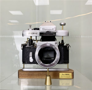 Disassembled Film Camera